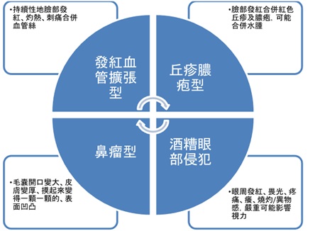 酒糟(玫瑰斑)臨床四種類型說明圖